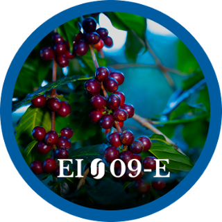 EI09-E