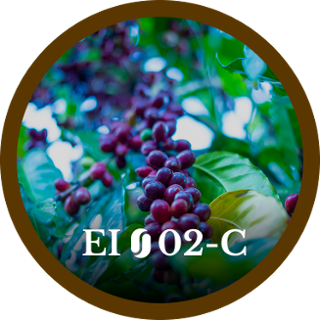 EI02-C