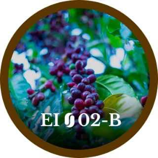 EI02-B
