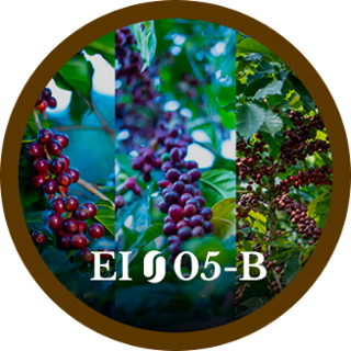 EI05-B