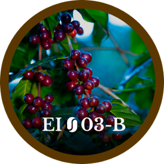EI03-B