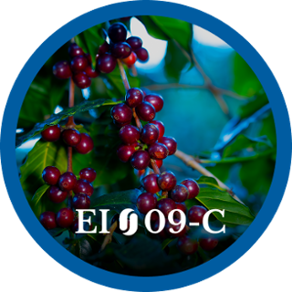 EI09-C