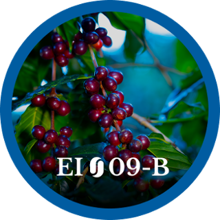 EI09-B