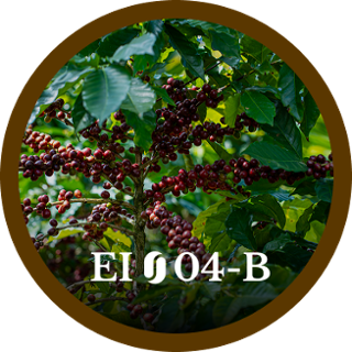 EI04-B