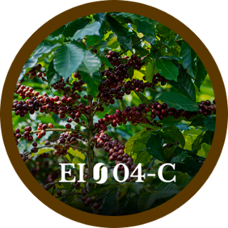 EI04-C