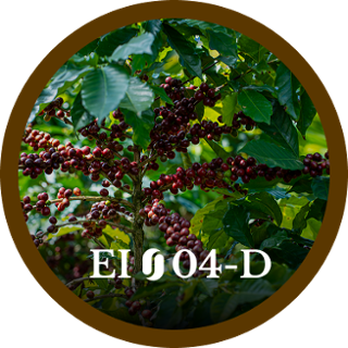 EI04-D