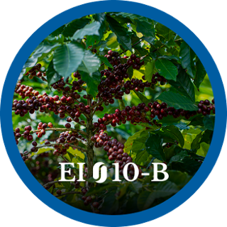 EI10-B
