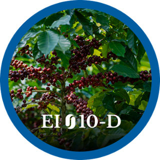 EI10-D