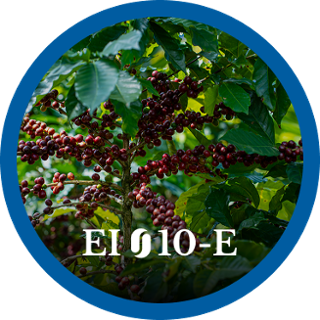EI10-E