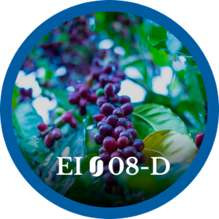 EI08-D