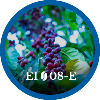 EI08-E