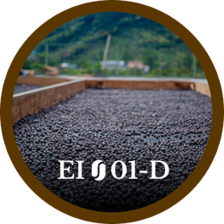 EI01-D
