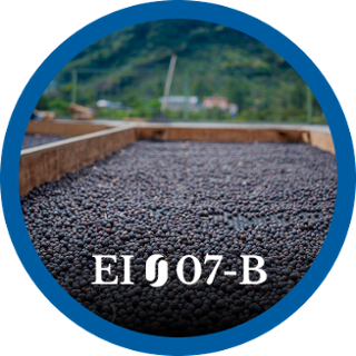 EI07-B