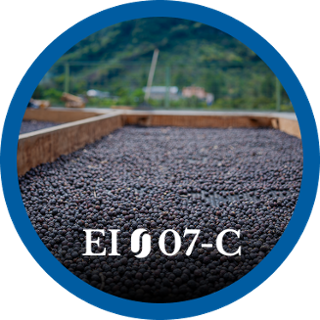 EI07-C