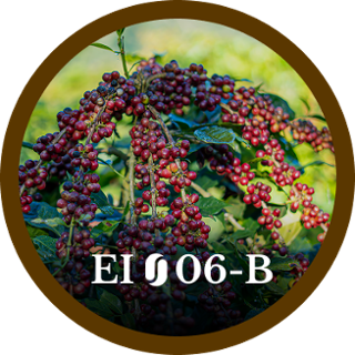 EI06-B