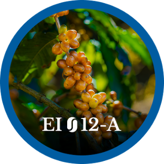 EI12-A