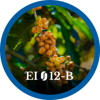 EI12-B