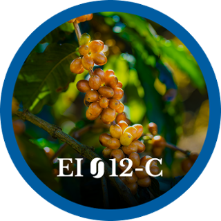 EI12-C
