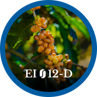EI12-D