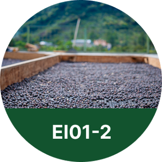 EI01-2