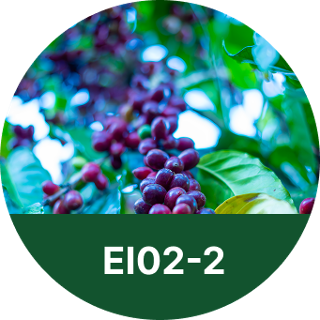 EI02-2