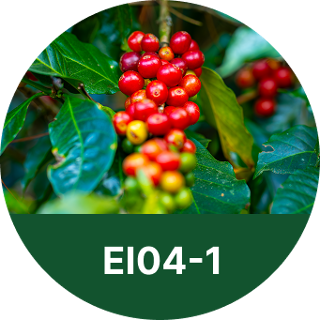 EI04-1