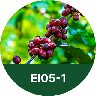 EI05-1