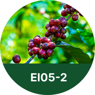 EI05-2