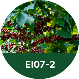 EI07-2