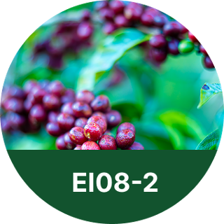EI08-2