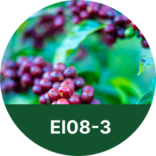 EI08-3