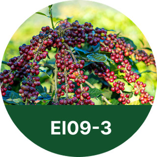EI09-3