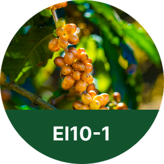 EI10-1