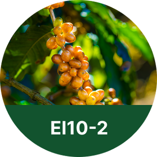 EI10-2