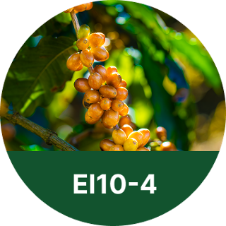 EI10-4